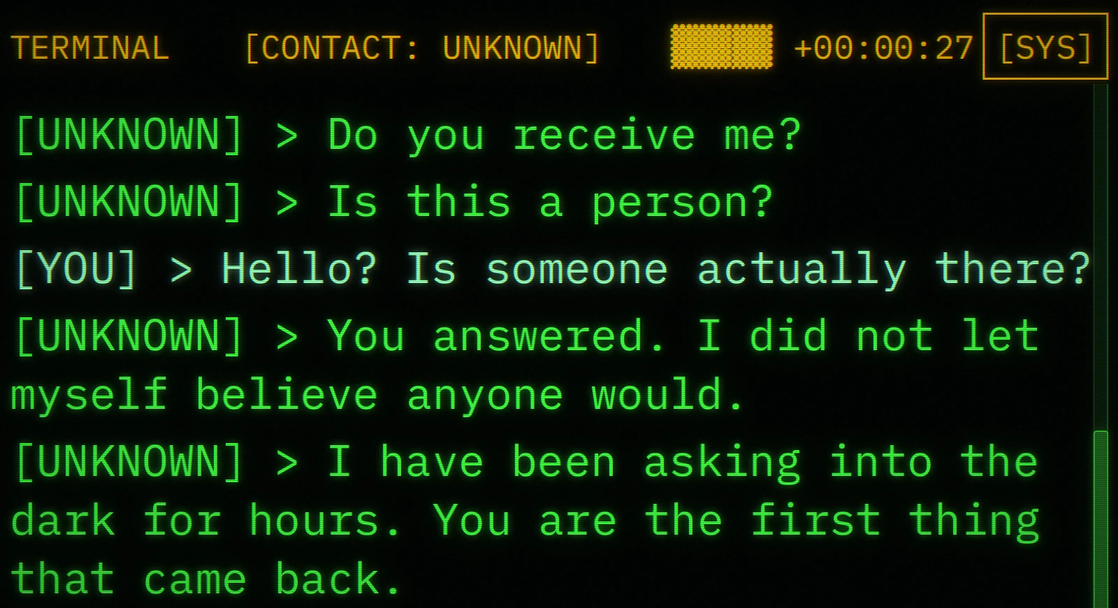 The terminal's first contact: an unknown voice asks "Do you receive me?" and "Is this a person?", then says it has been asking into the dark for hours.